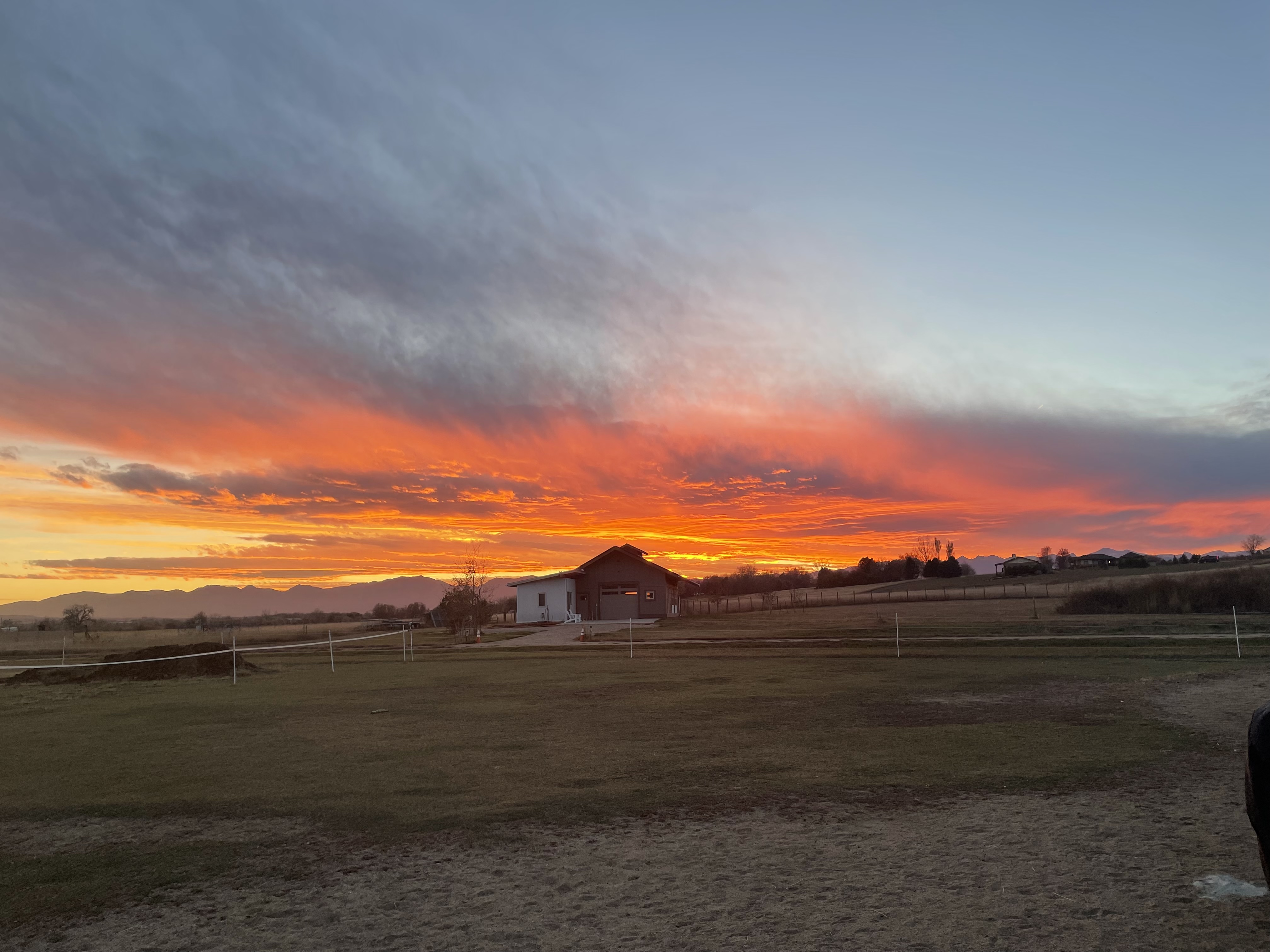 Barn and paddock at golden hour