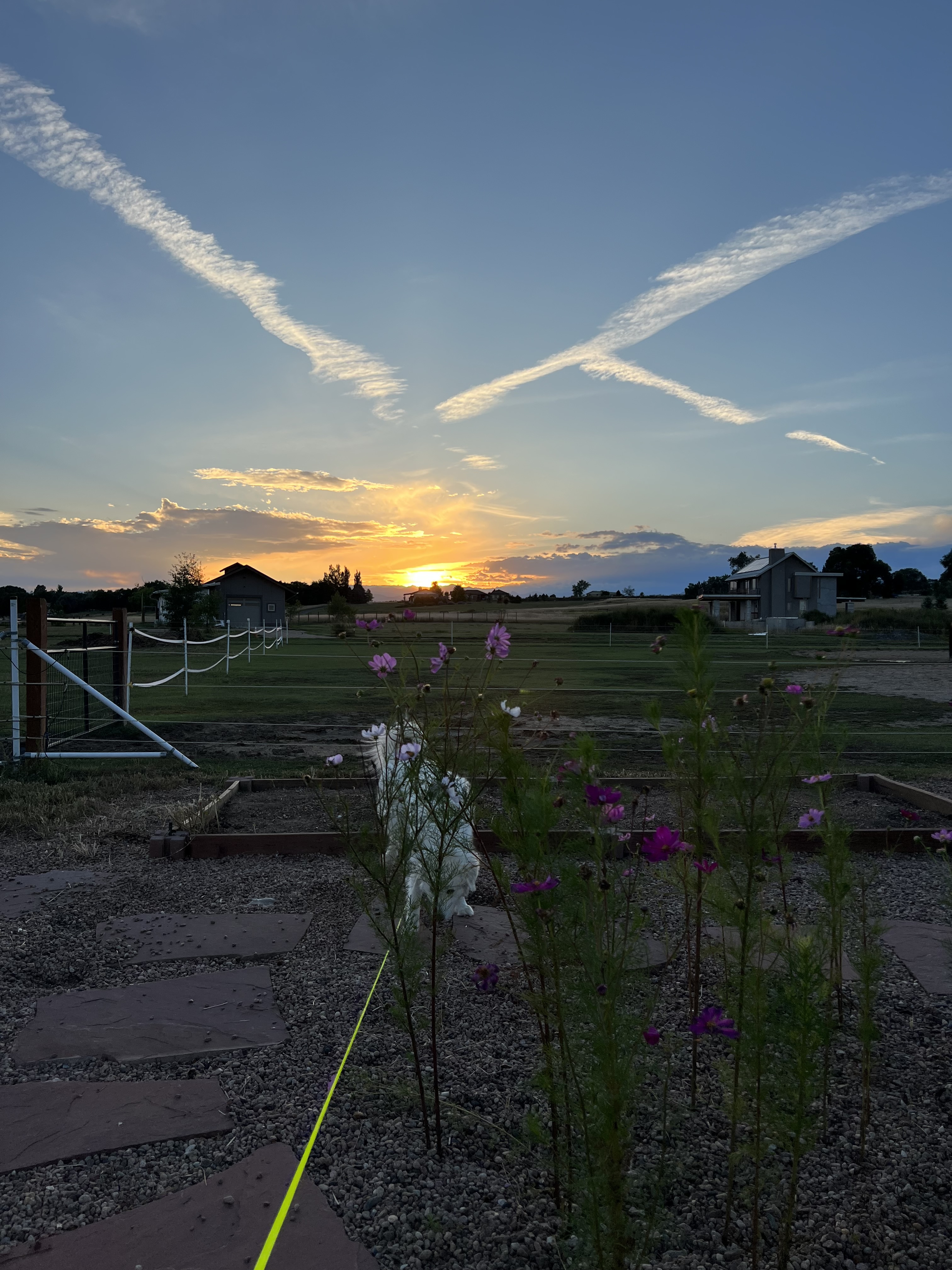 Mountain view over fields
